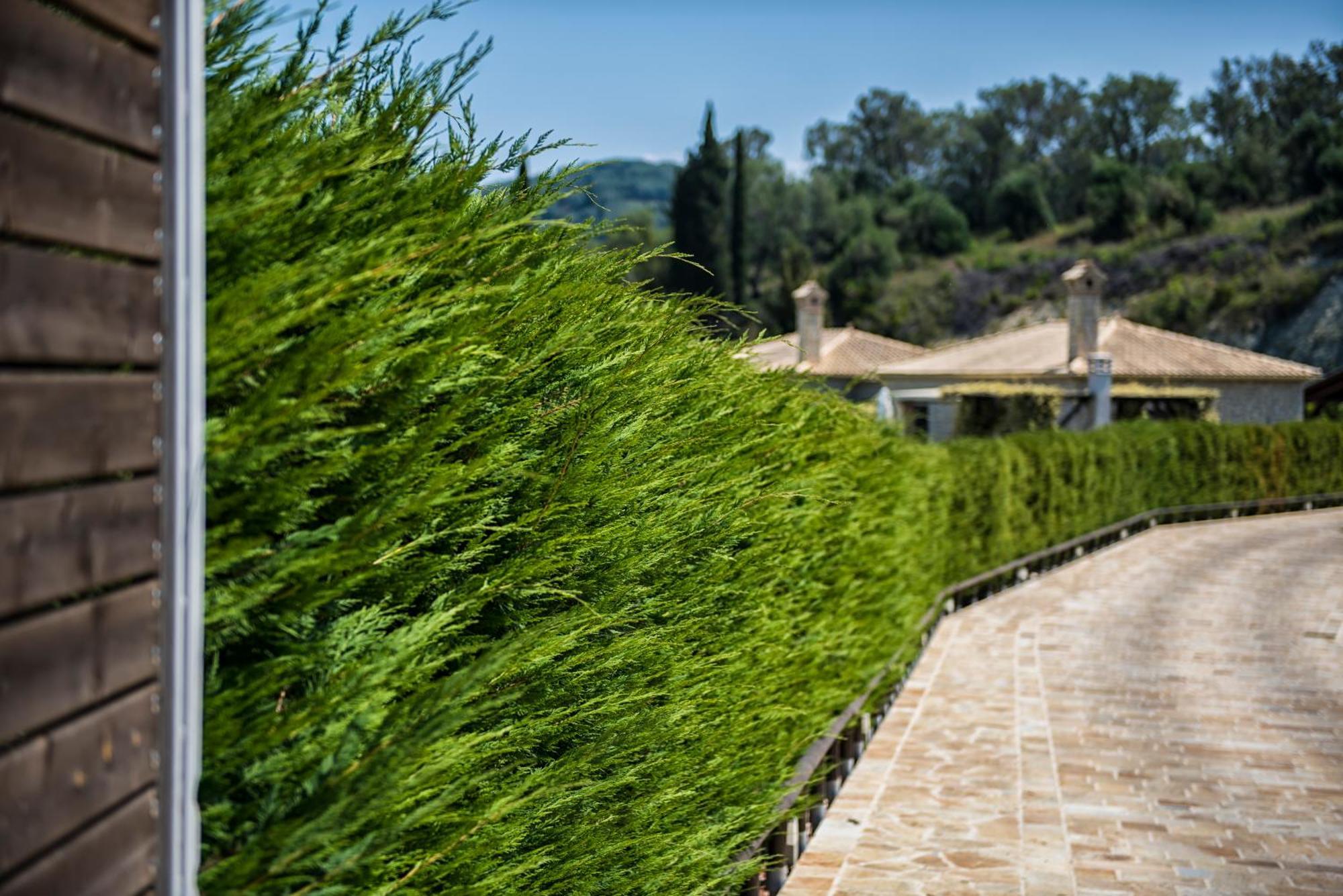 Mega Lithari Corfu Luxury Villa *